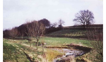 Der Rand der Maasschleife bei Teveren