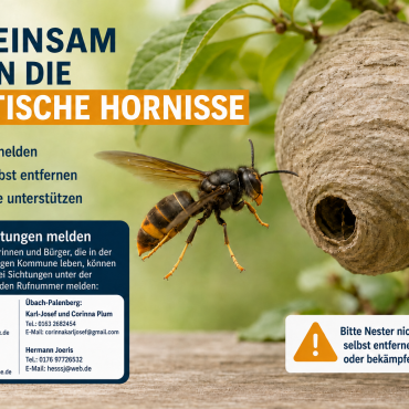 Hornisse 2026