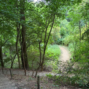 Wanderweg 02